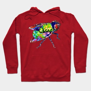 fly guy Hoodie